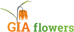 fade-in-logo-giaflowers