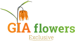 Gia Flowers